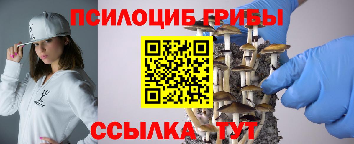 Псилоцибиновые грибы ЛСД  наркотики  Похвистнево  Вход с VPN 